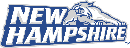 New Hampshire Wildcats 2000-Pres Alternate Logo diy DTF decal sticker